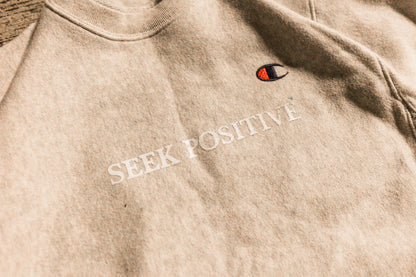 90's Champion reverse weave crewneck