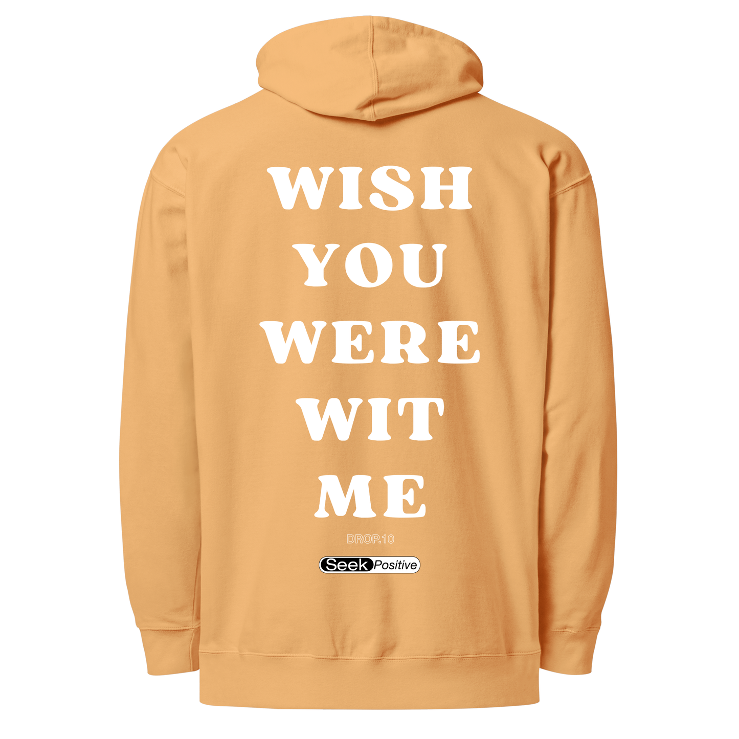Wishing hoodie